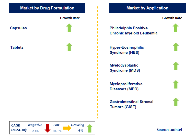 Imatinib Drug by Segment